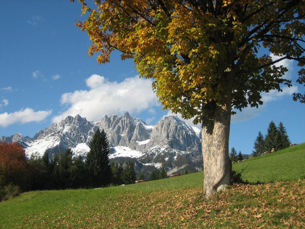 Bauernhof Buchberg Villa Oberndorf in Tirol Buitenkant foto
