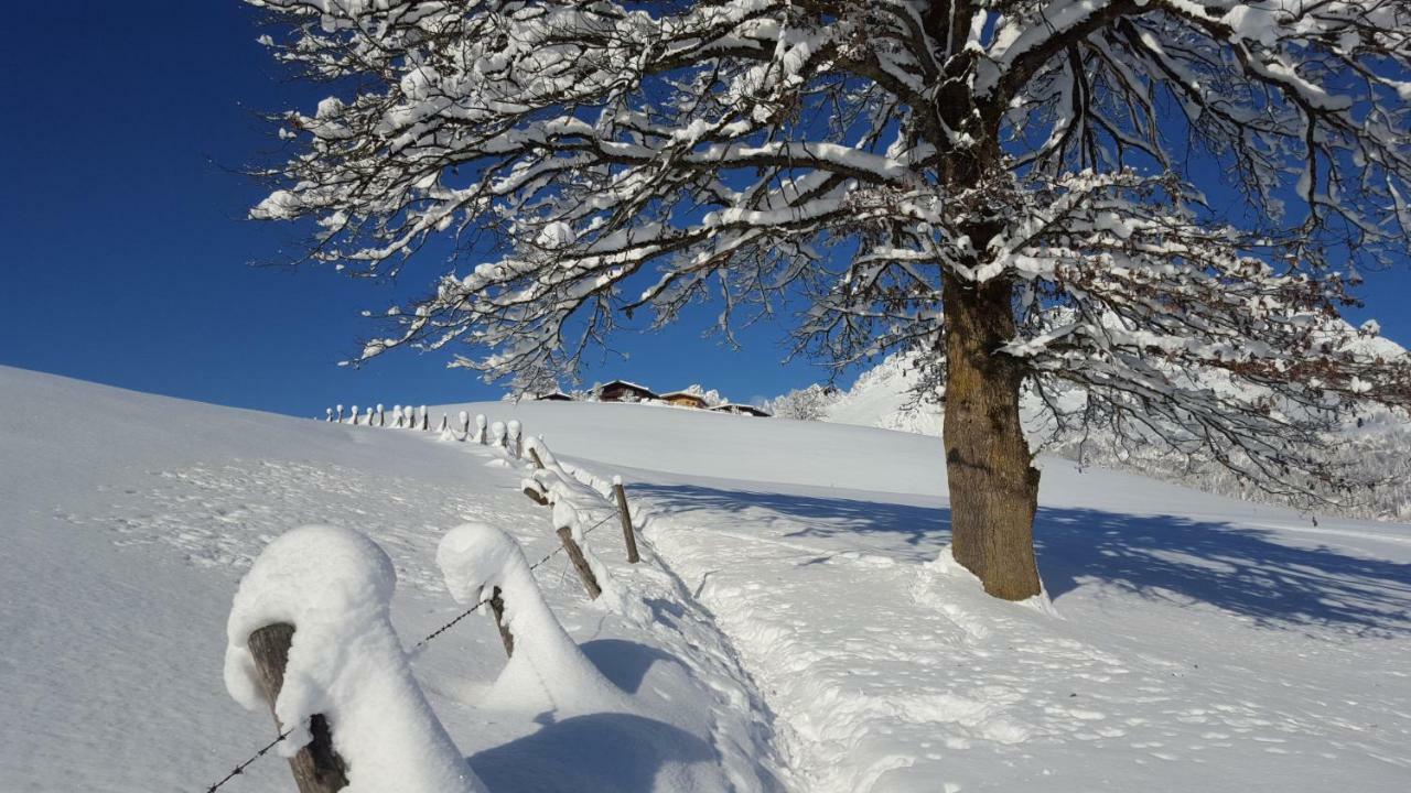 Bauernhof Buchberg Villa Oberndorf in Tirol Buitenkant foto